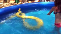 Dans sa piscine, une fillette nage avec un python