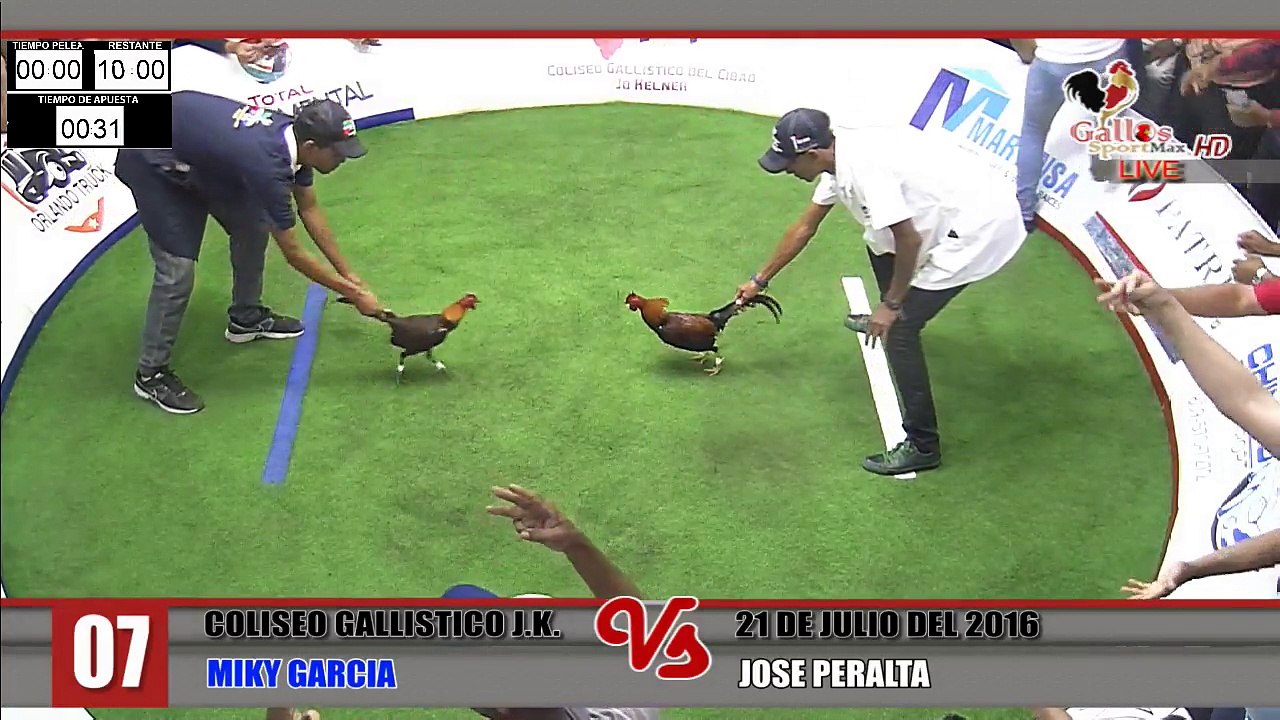 pelea 07 21-07-2016