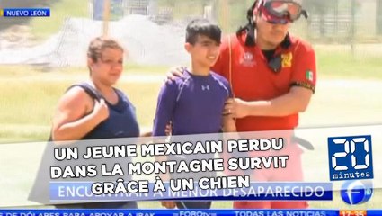 Un jeune Mexicain perdu dans la montagne survit grâce à un chien