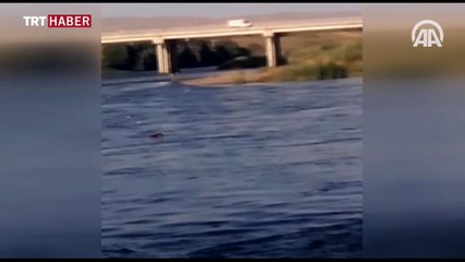 FETÖ/PDY’ye ait çok sayıda kitap, Murat Nehri'ne atıldı