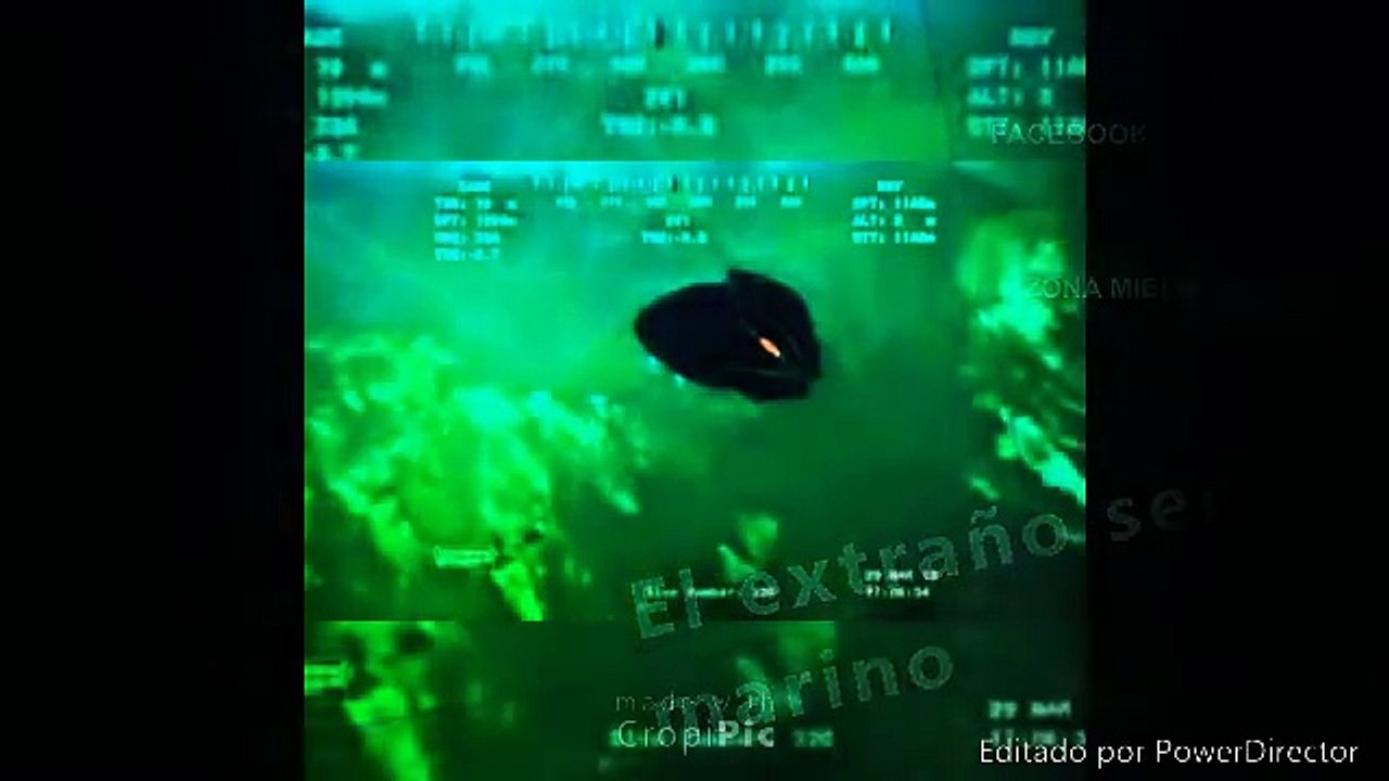 Extraño animal submarino es encontrado en las profundidades