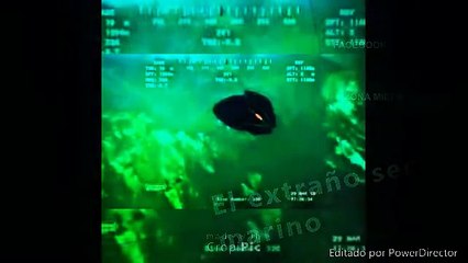 Extraño animal submarino es encontrado en las profundidades