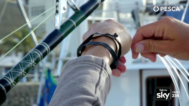 The Drama of Marlin Fishing in the Cape Verde Islands