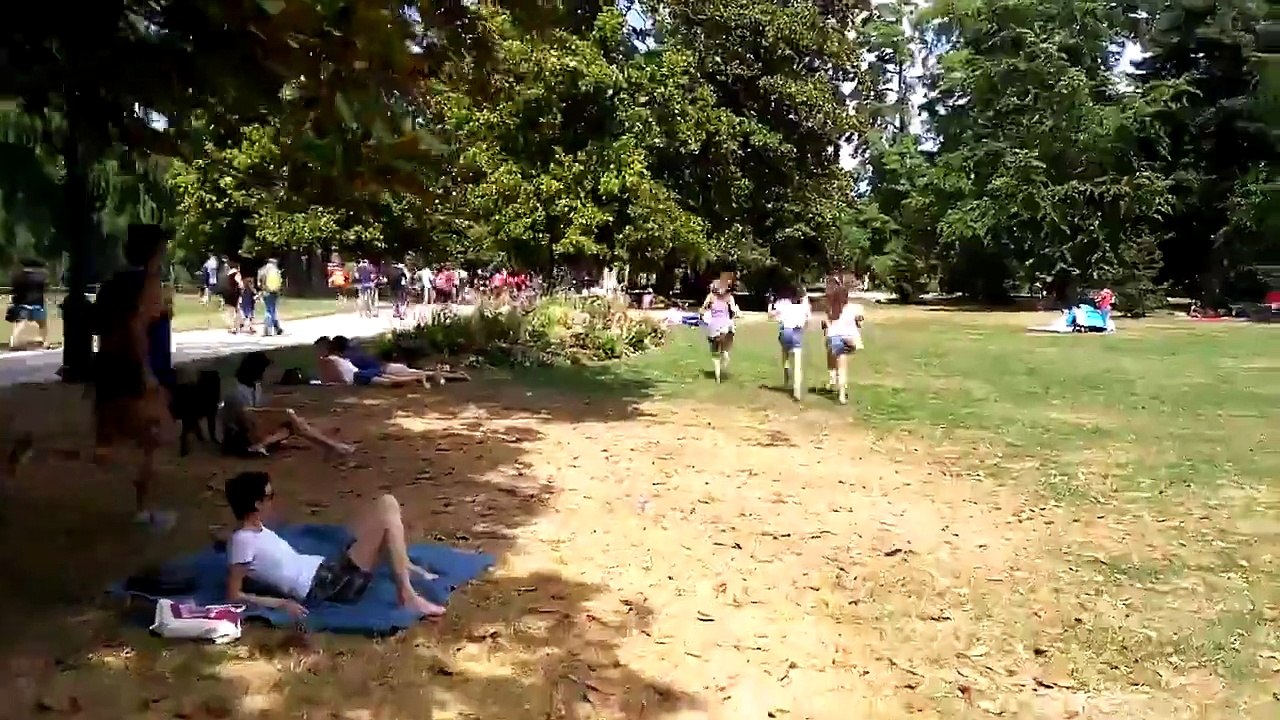Un Pokémon rare apparaît dans le parc à Bordeaux!!