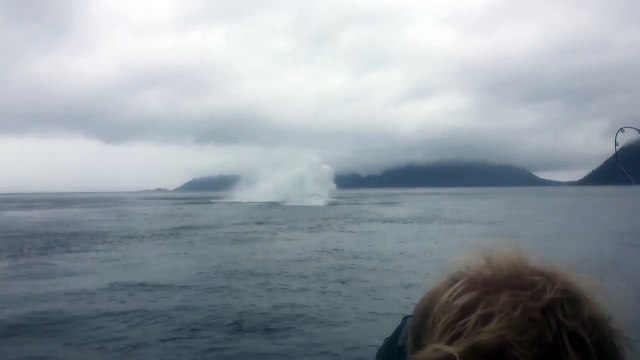 Humpback Whale Jumping Out of the Water