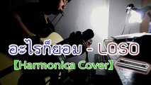 อะไรก็ยอม - LOSO 【 เม้าออแกน Harmonica cover by Songkran 】