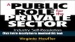 Read A Public Role for the Private Sector: Industry Self-Regulation in a Global Economy  Ebook Free