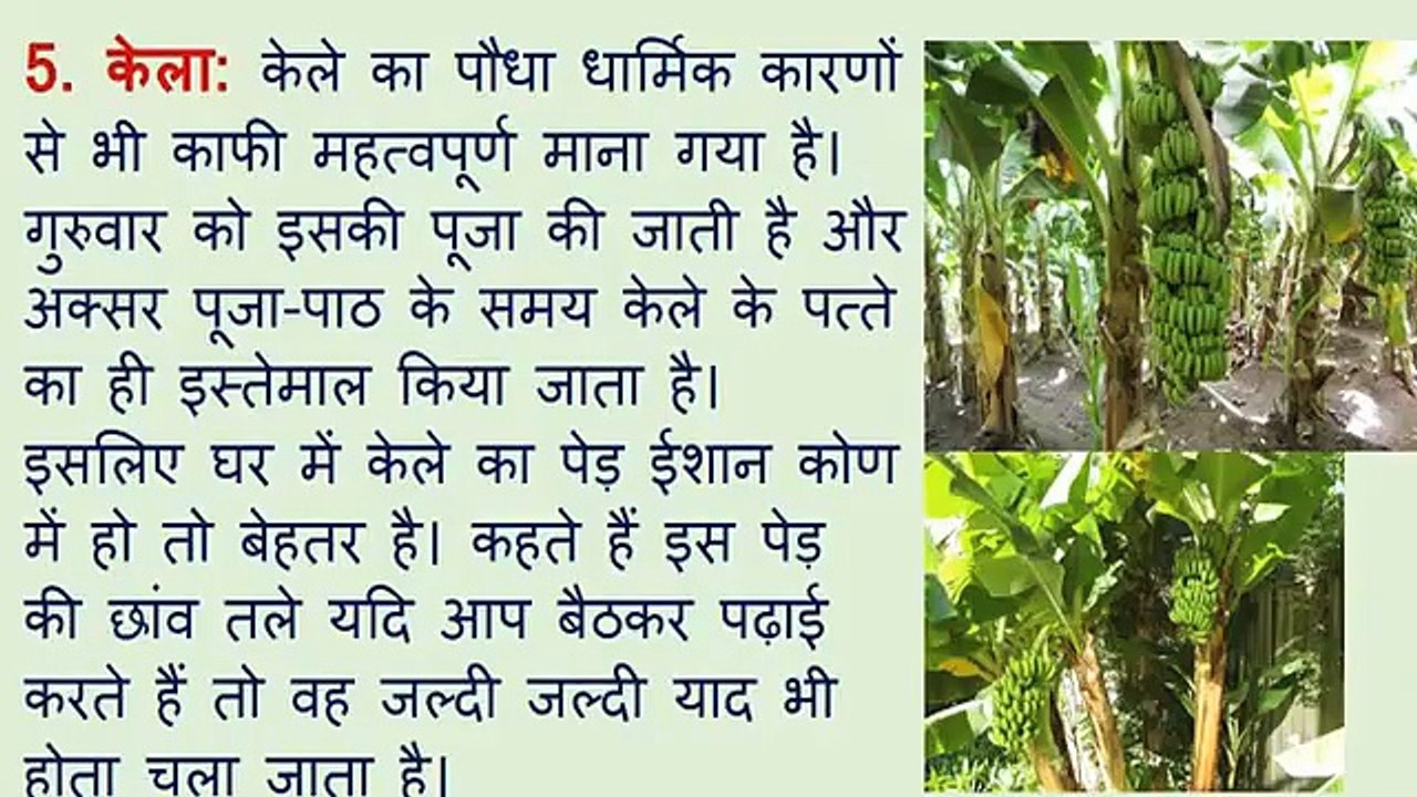 घर में कौन सा पेड़ लगाना है शुभ - वास्तु - Which Tree are Beneficial for Home - Vastu Tips