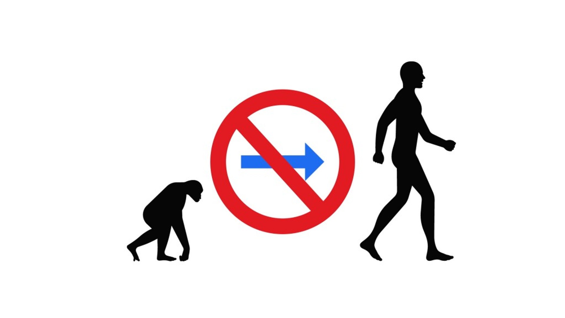 Dear Science: Why aren't chimpanzees evolving into humans?