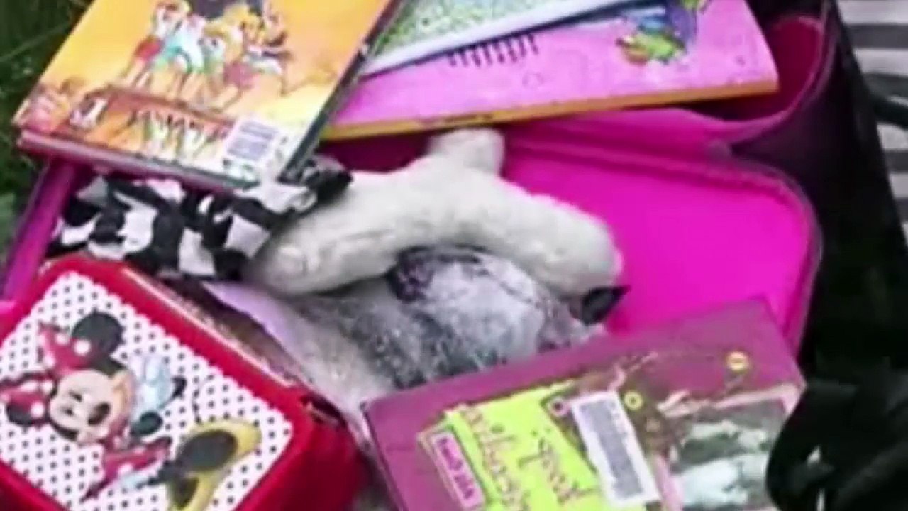 MH17 - Flug in den Tod [Doku]