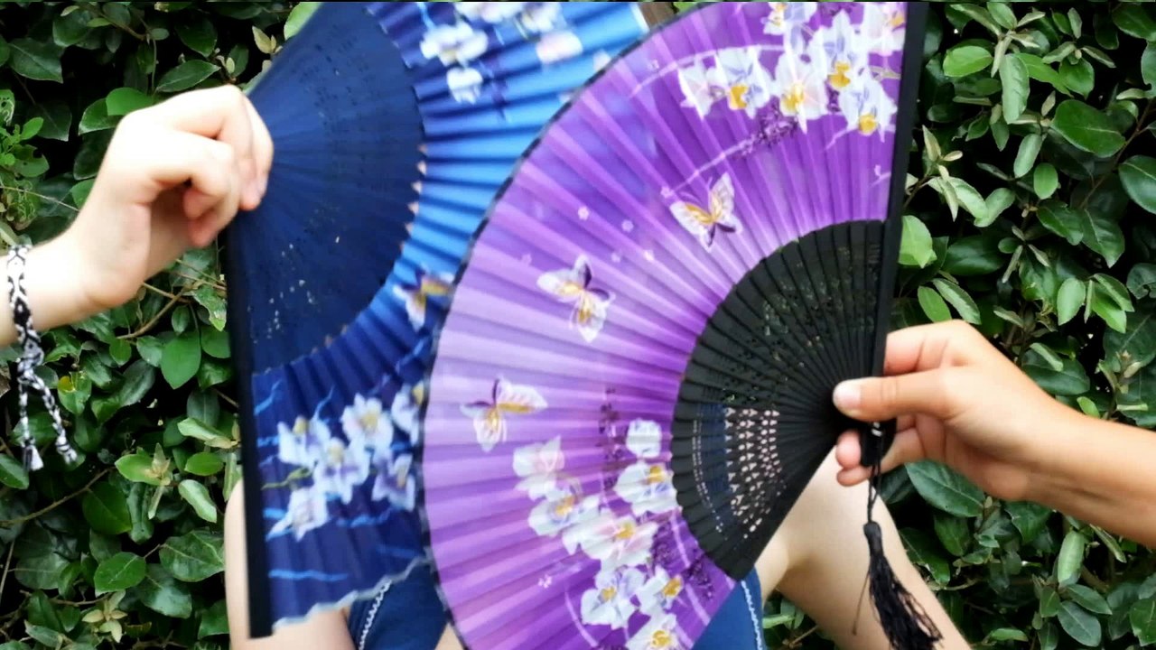 Awenn Bleuenn Erell - chanson sur ma drole de vie - Véronique Sanson