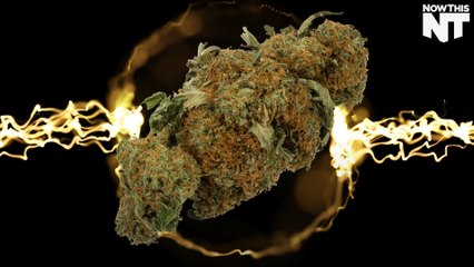 Growing Weed Isn't As Green As You Might Think