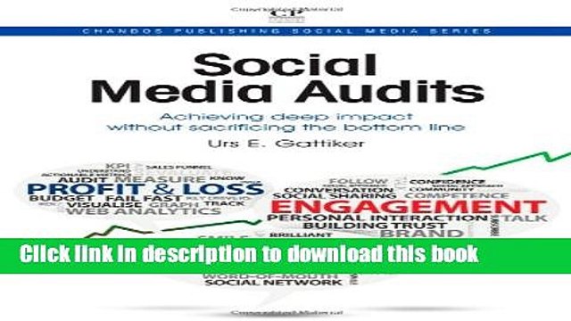 Read Social Media Audits: Achieving Deep Impact Without Sacrificing the Bottom Line (Chandos