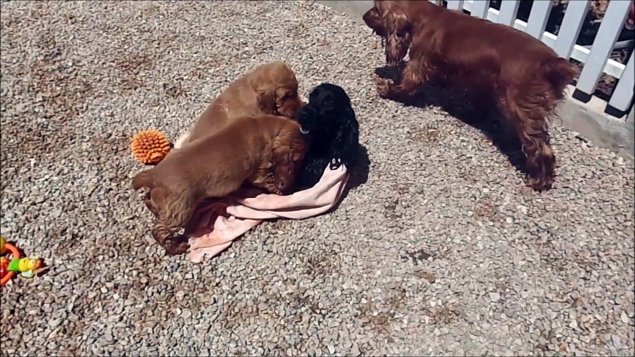 Un moment fun avec Laurette et les p'tits mecs