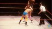 Bret Hart, Wrestling Legend, Diagnosed wth Prostate Cancer