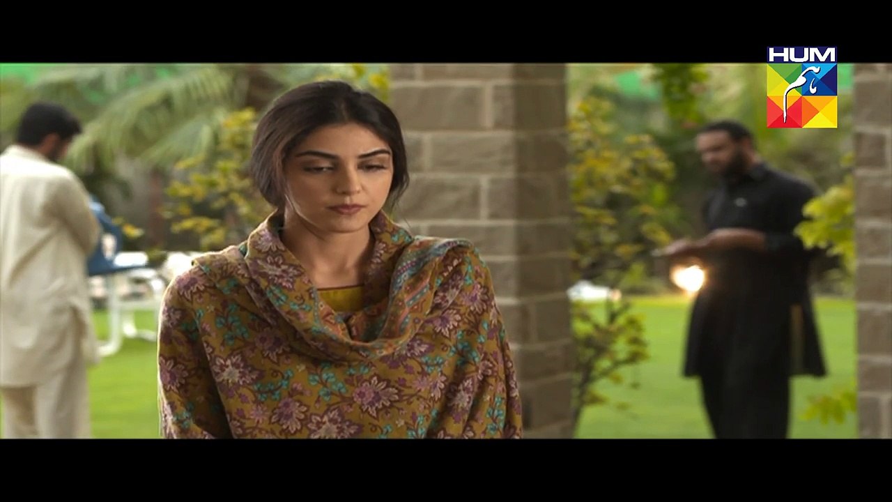 Mann Mayal Episode 27 full HD Hum TV Drama 25 July 2016