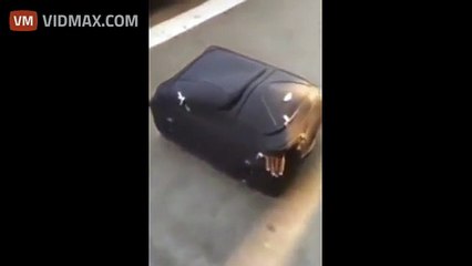 You have to see this to believe it, this Eritrean man tried to get through customs, in a suitcase