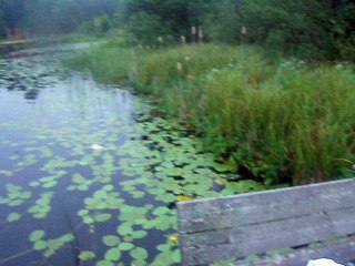 рыбалка в лен обл-1 часть