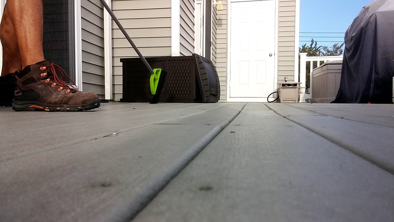 Raccoon Attacks