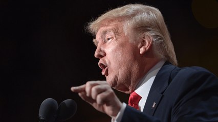 Trump: DNC protesters will vote for me