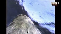 FOK Balığının Gözünden Denizin Derinlikleri - Deep Sea Footage from the Seal Cam