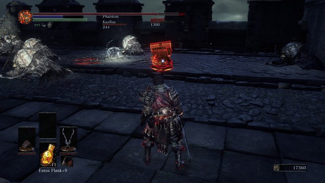 No Mercy For Invaders