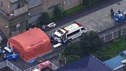 At least 15 dead in Japan stabbing rampage