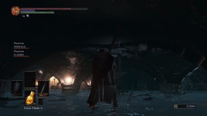 Spiders In The Walls!