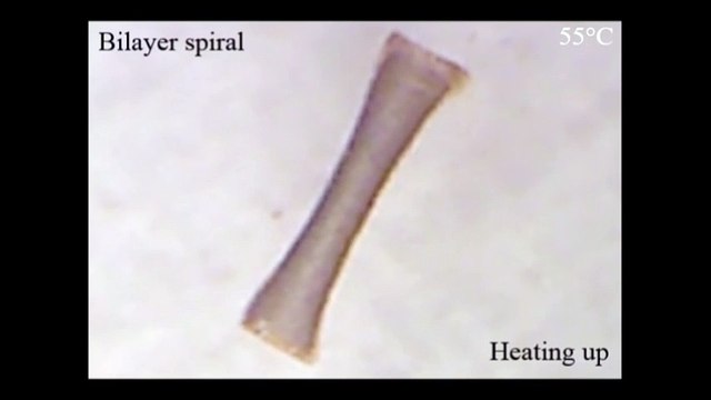 Microbots para procedimientos quirúrgicos