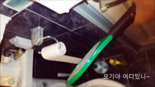 모기채의 위력 (An electric flyswatter)