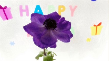 惣田麻衣　眠くなってくる音楽1