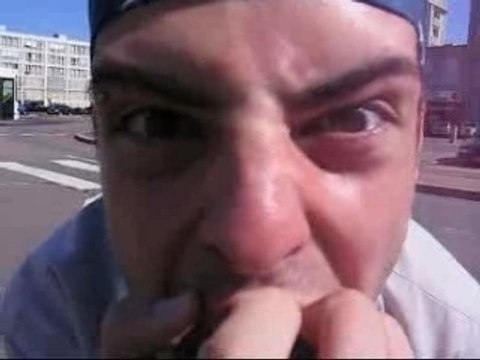 Les Havrais - Vive Le Havre