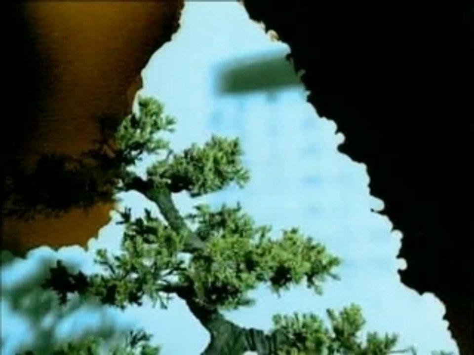 南拳妈妈-离家不远 ~ nanquanmama - lijiabuyuan