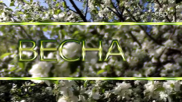 Истории Деноминаций