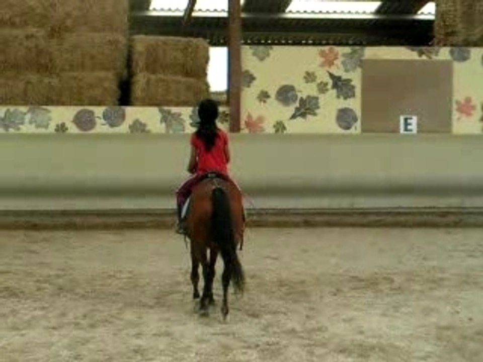 Poney2