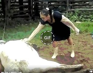 great joke ever!!! try not to laugh