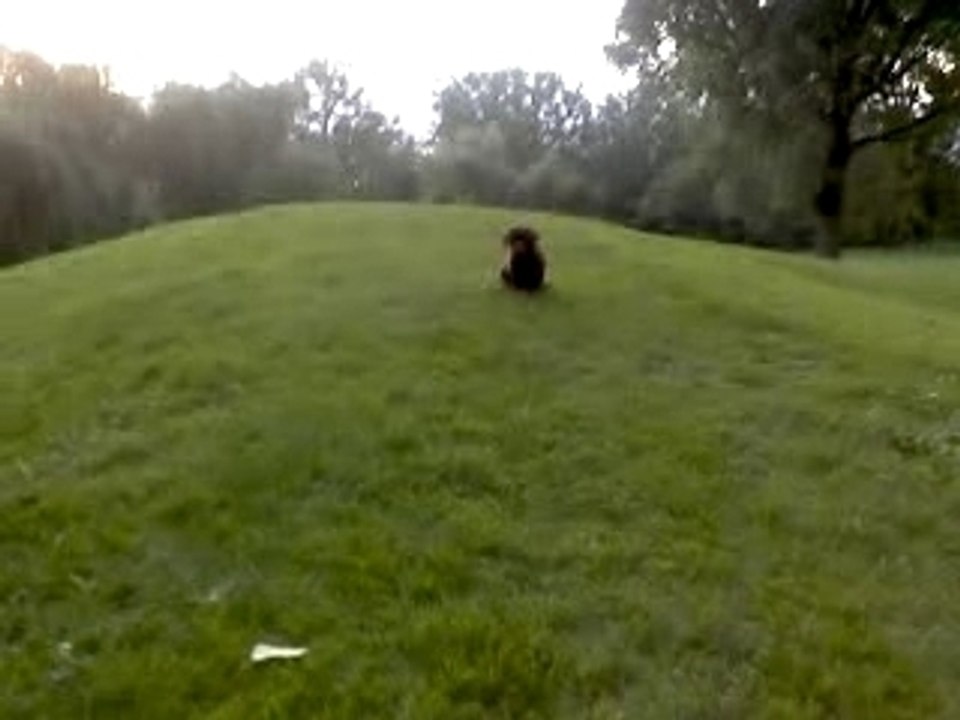 V21-07-07_21.10
