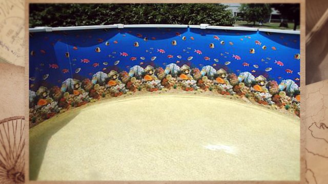 What Everyone should Know about Pool Liner?