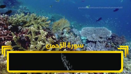 SURAH REHMAN HD GRAPHICS BEAUTIFUL VISUALS URDU/HINDI