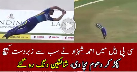 Ahmed Shezad Beautiful Catch Ever in CPL