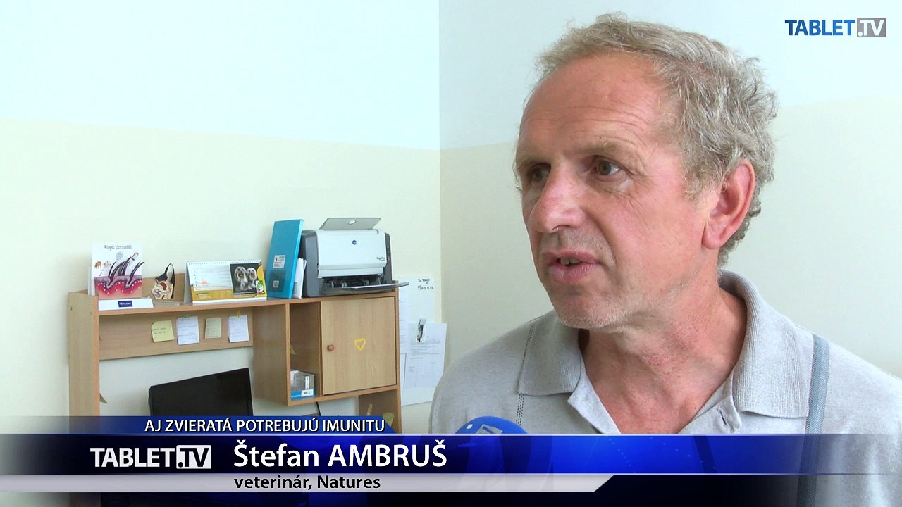Aj domáce zvieratá môžu mať oslabenú imunitu