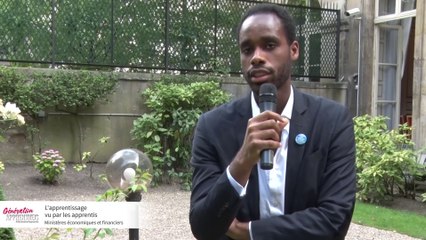 L'apprentissage vu par les apprentis