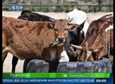 Budilica gostovanje (Bojan Mančić), 26. jul 2016. (RTV Bor)