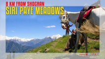 Siri Paye Meadows 8 KM from Shogran