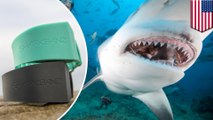 Shark deterrent: How shark attacks might be repelled by electromagnetic wristbands - TomoNews