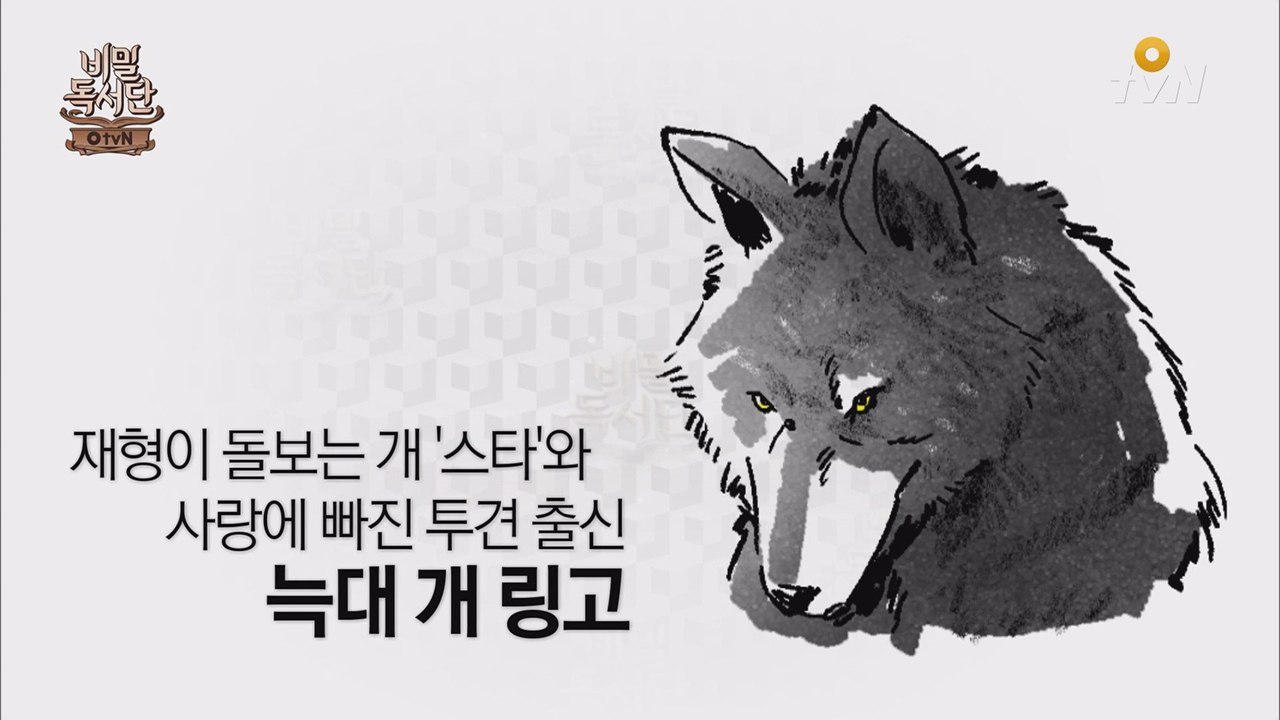 생존 전쟁에서 살아 남는 책 1위! 정유정의 ′28′