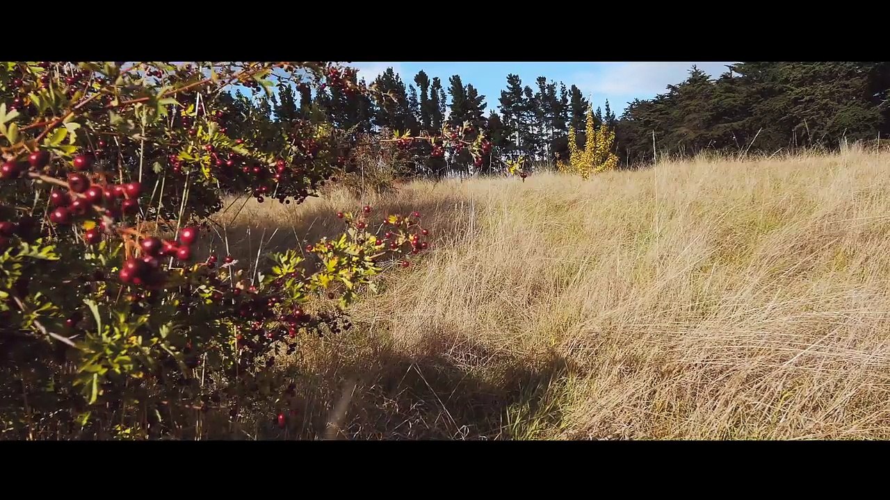 Envie de déménager très loin ? Cette île est à vendre pour seulement 200 000 euros. Ca donne envie de tout quitter !