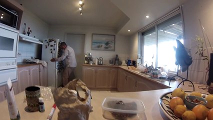 Eastern brown snake lays eggs - could have been under the fridge!