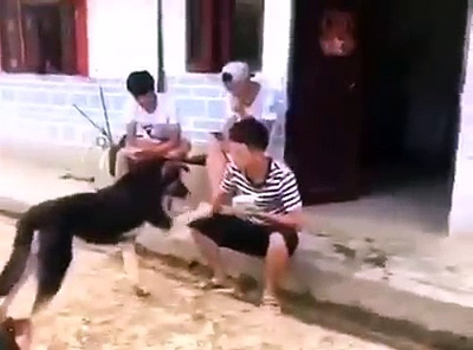 Funny Mishap