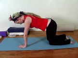 Yoga for Lower Back Pain   Cat Cow Yoga Pose for Lower Back Pain